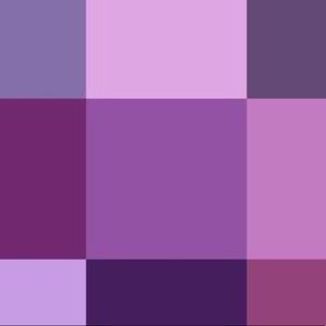 Meet your Posher, Kendall